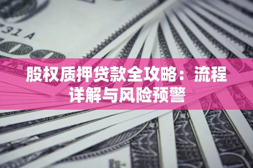 武汉股权质押贷款全攻略：流程详解与风险预警