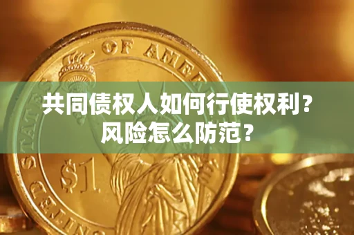 武汉共同债权人如何行使权利？风险怎么防范？