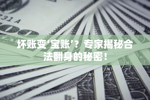 武汉坏账变‘宝账’？专家揭秘合法翻身的秘密！