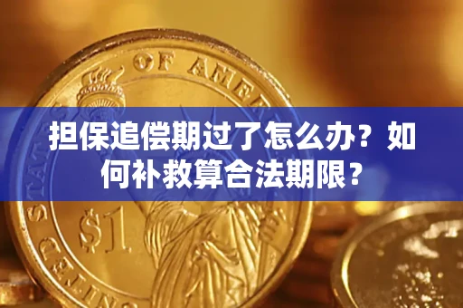 武汉担保追偿期过了怎么办？如何补救算合法期限？