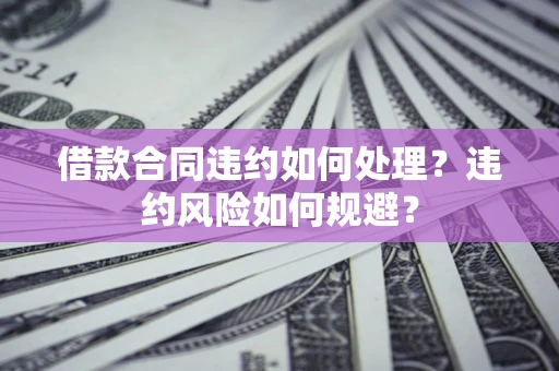 武汉借款合同违约如何处理？违约风险如何规避？