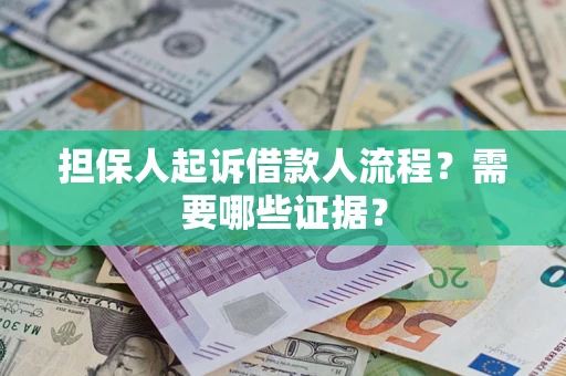 武汉担保人起诉借款人流程？需要哪些证据？