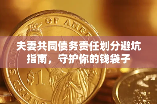 武汉夫妻共同债务责任划分避坑指南，守护你的钱袋子