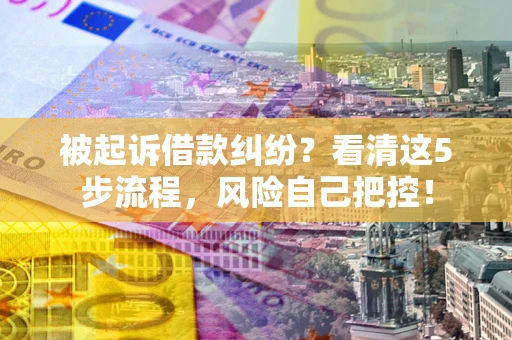 武汉被起诉借款纠纷？看清这5步流程，风险自己把控！