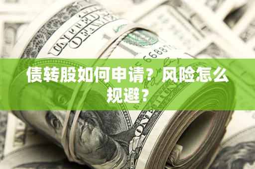 武汉债转股如何申请？风险怎么规避？