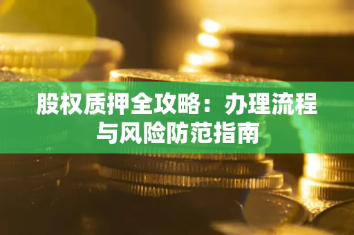 武汉股权质押全攻略：办理流程与风险防范指南